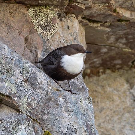 14 - Fulufjellets Nasjonalparker - Natur-, Dyre- Og Fugleopplevelser ทรีซิล ภายนอก รูปภาพ