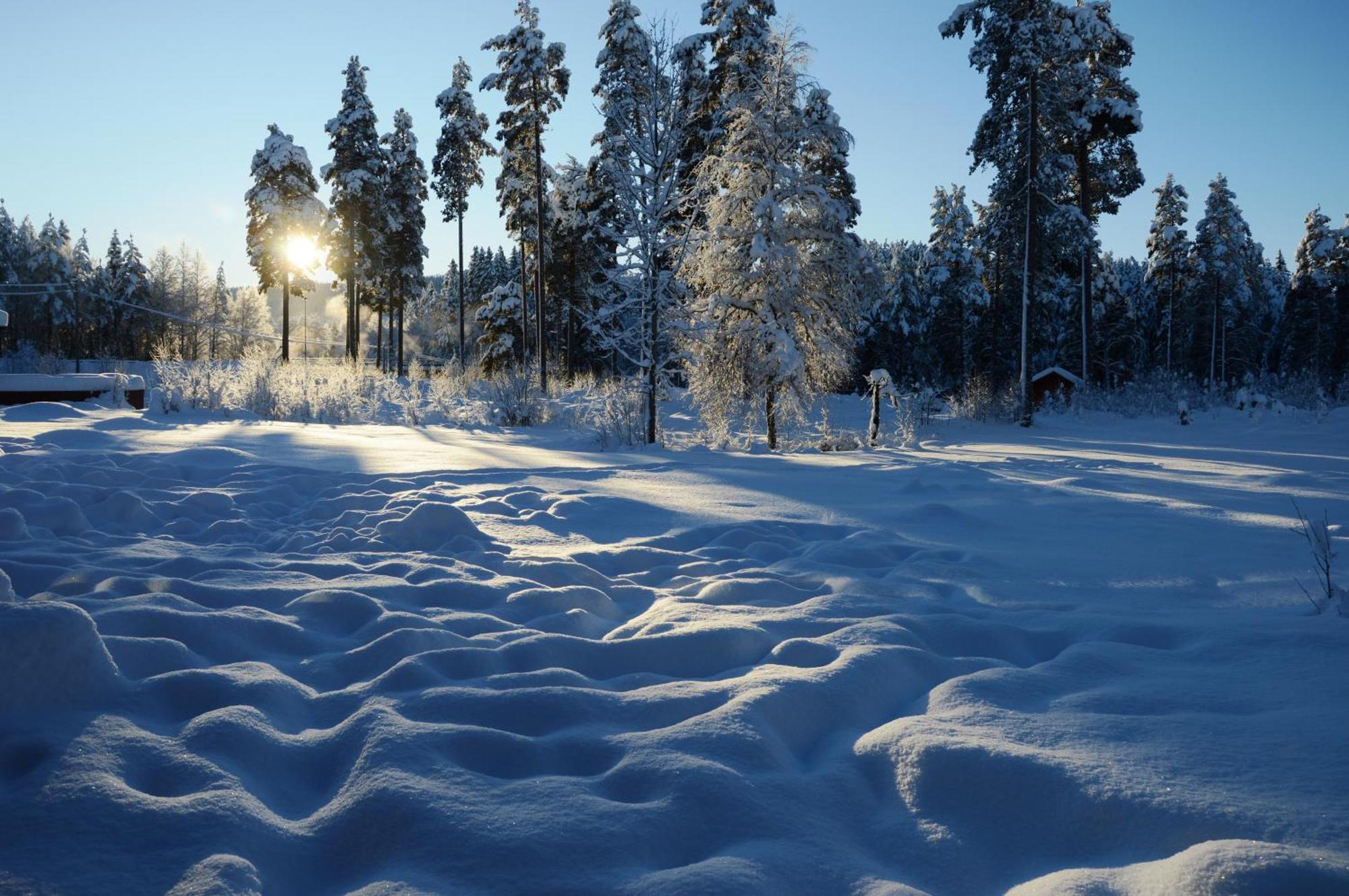 14 - Fulufjellets Nasjonalparker - Natur-, Dyre- Og Fugleopplevelser ทรีซิล ภายนอก รูปภาพ