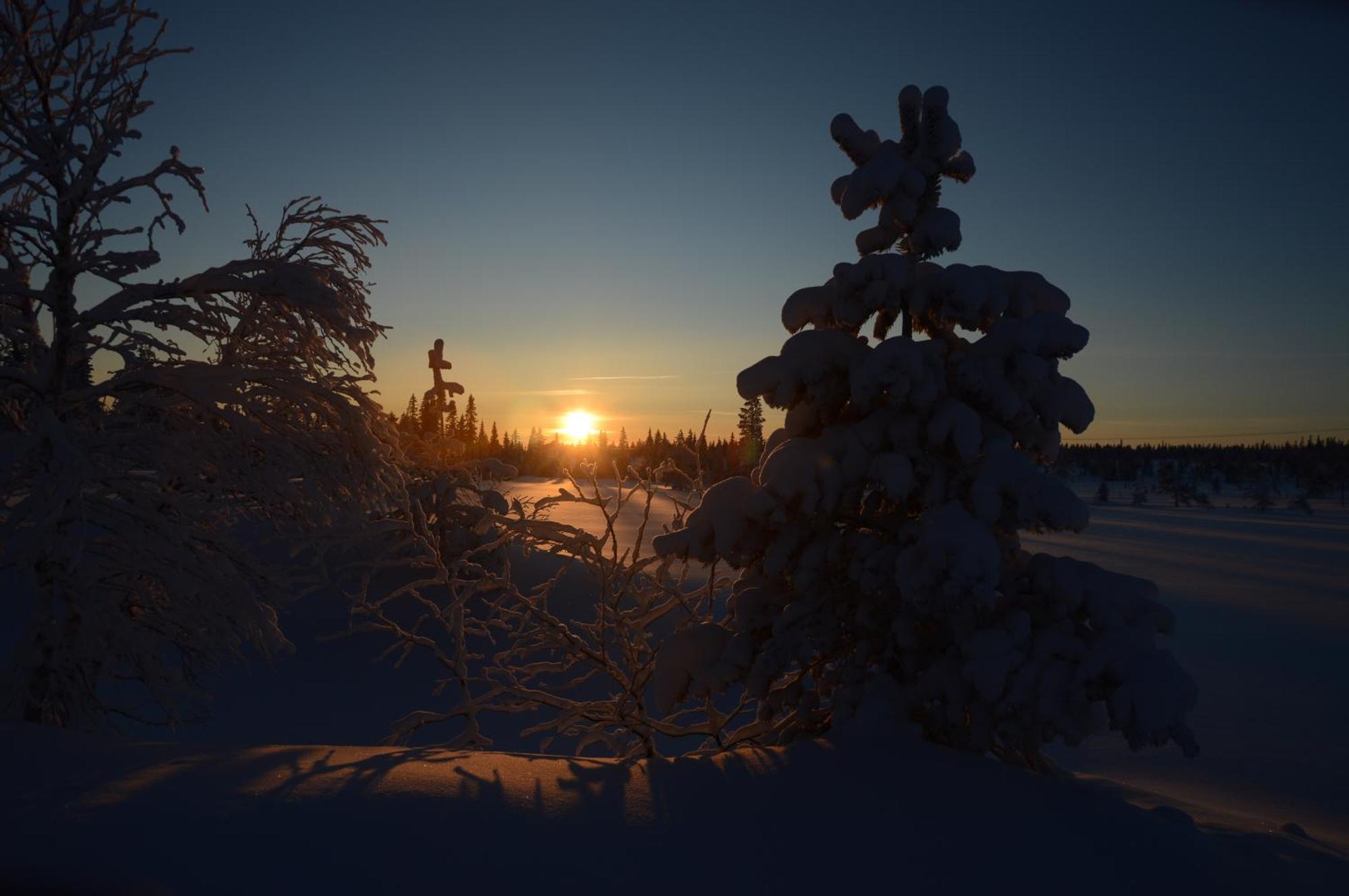 14 - Fulufjellets Nasjonalparker - Natur-, Dyre- Og Fugleopplevelser ทรีซิล ภายนอก รูปภาพ