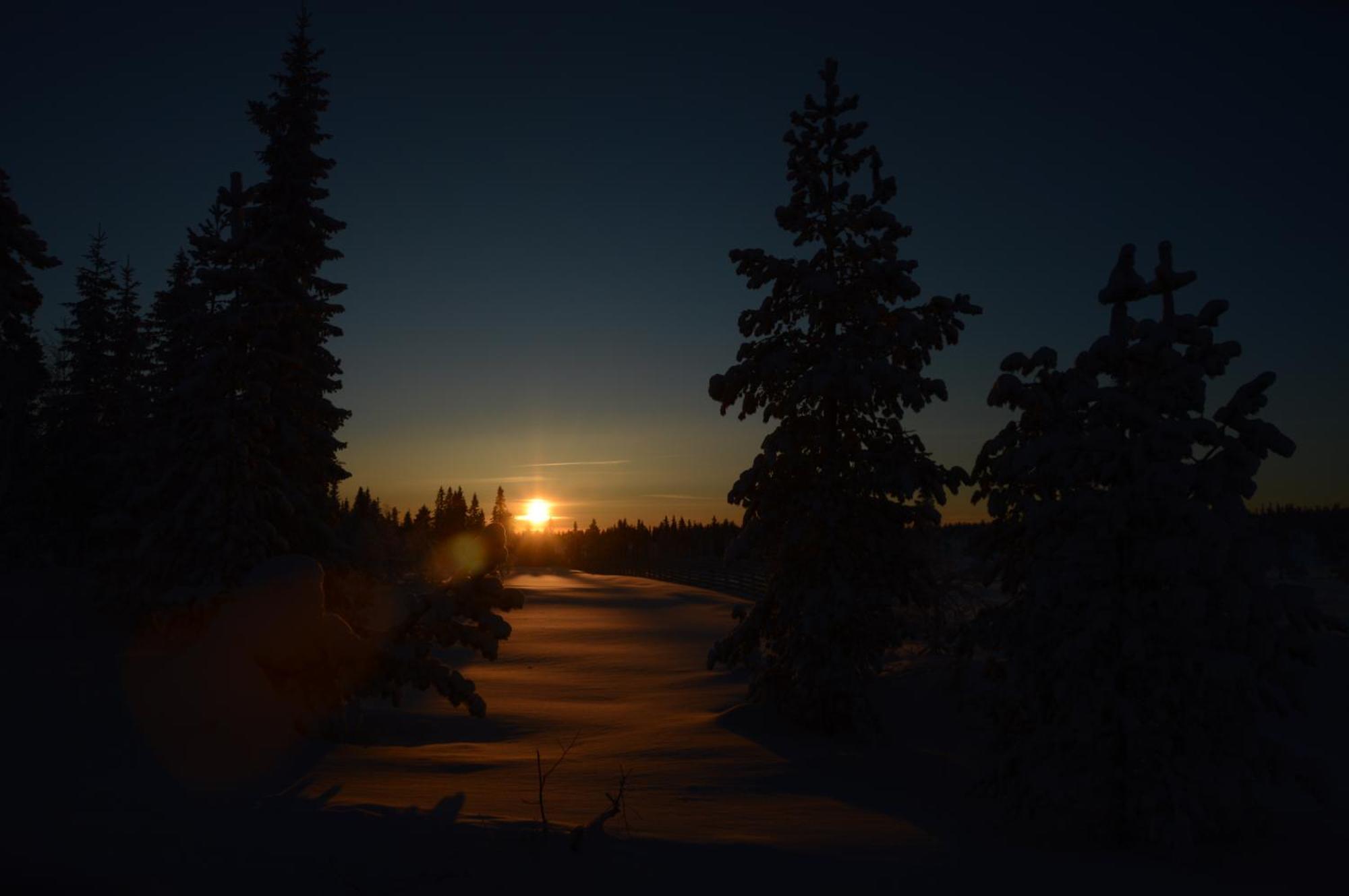 14 - Fulufjellets Nasjonalparker - Natur-, Dyre- Og Fugleopplevelser ทรีซิล ภายนอก รูปภาพ