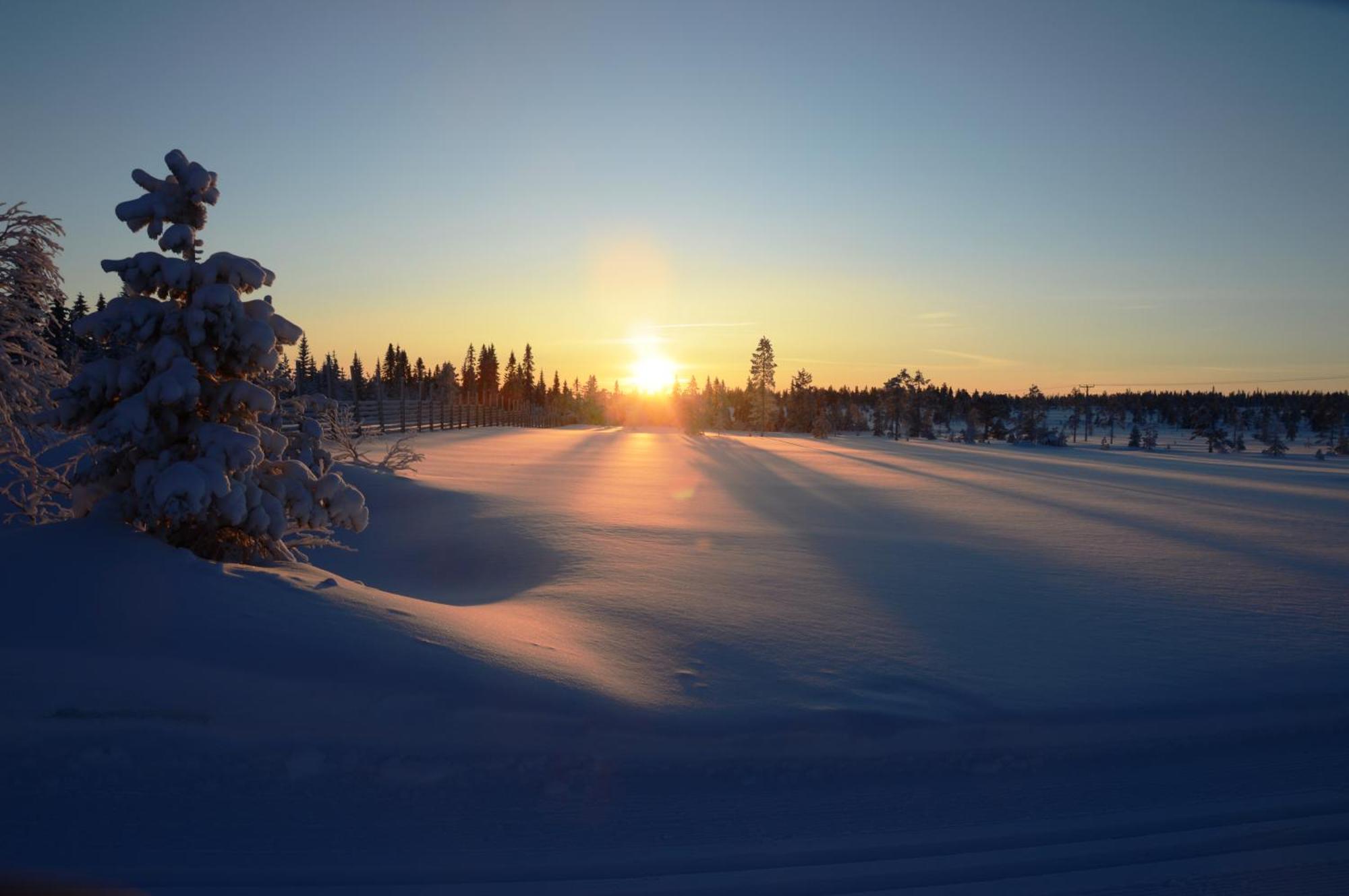 14 - Fulufjellets Nasjonalparker - Natur-, Dyre- Og Fugleopplevelser ทรีซิล ภายนอก รูปภาพ