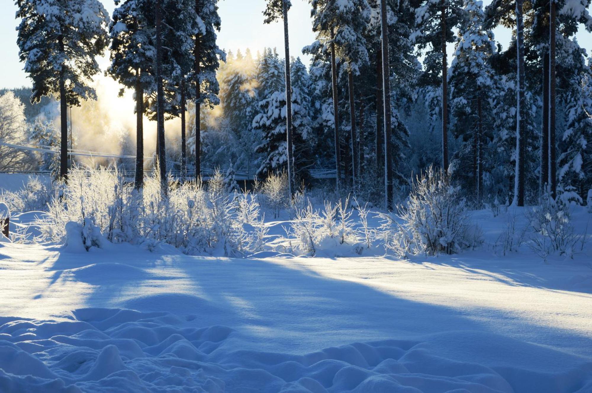 14 - Fulufjellets Nasjonalparker - Natur-, Dyre- Og Fugleopplevelser ทรีซิล ภายนอก รูปภาพ