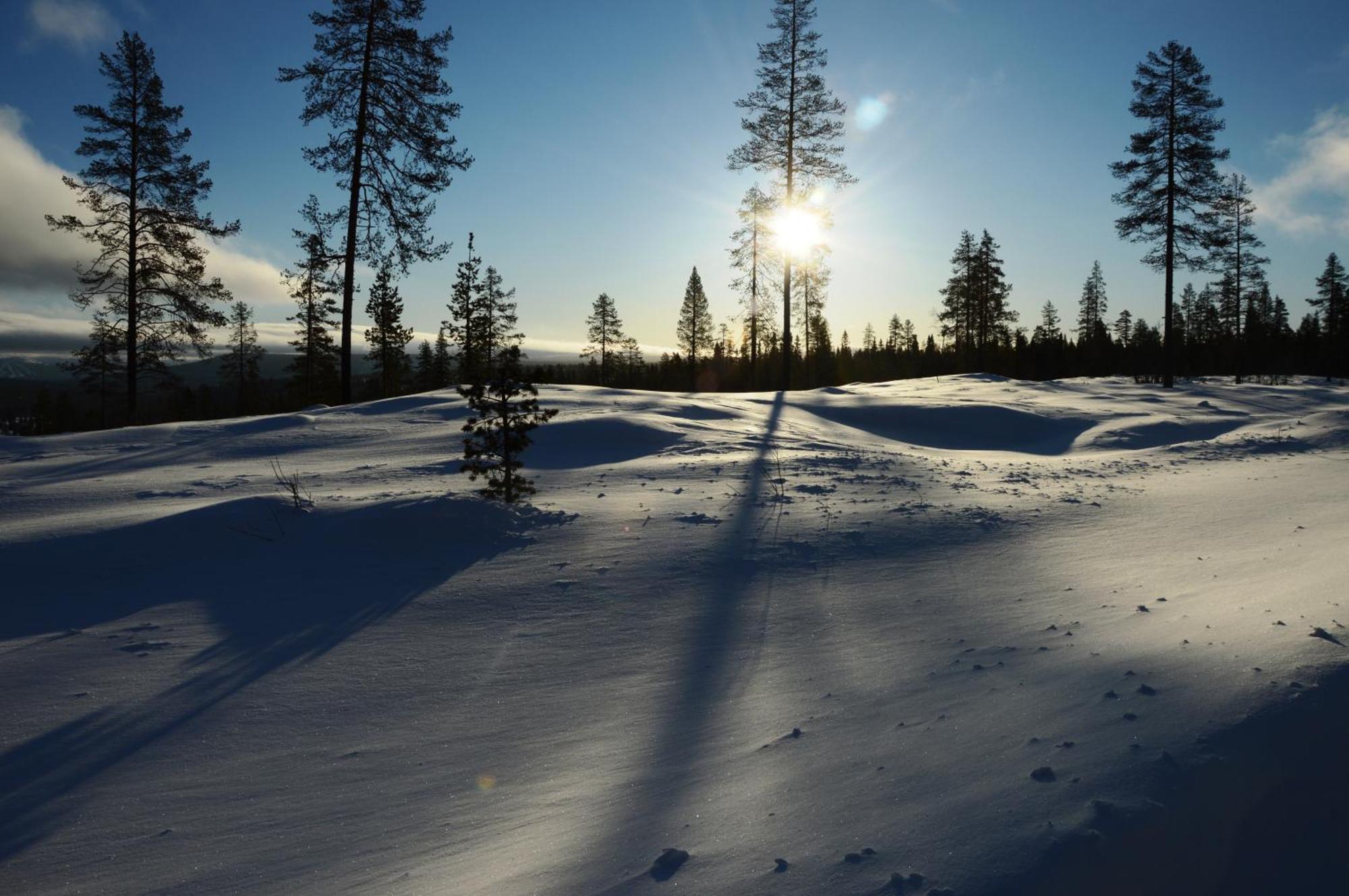 14 - Fulufjellets Nasjonalparker - Natur-, Dyre- Og Fugleopplevelser ทรีซิล ภายนอก รูปภาพ