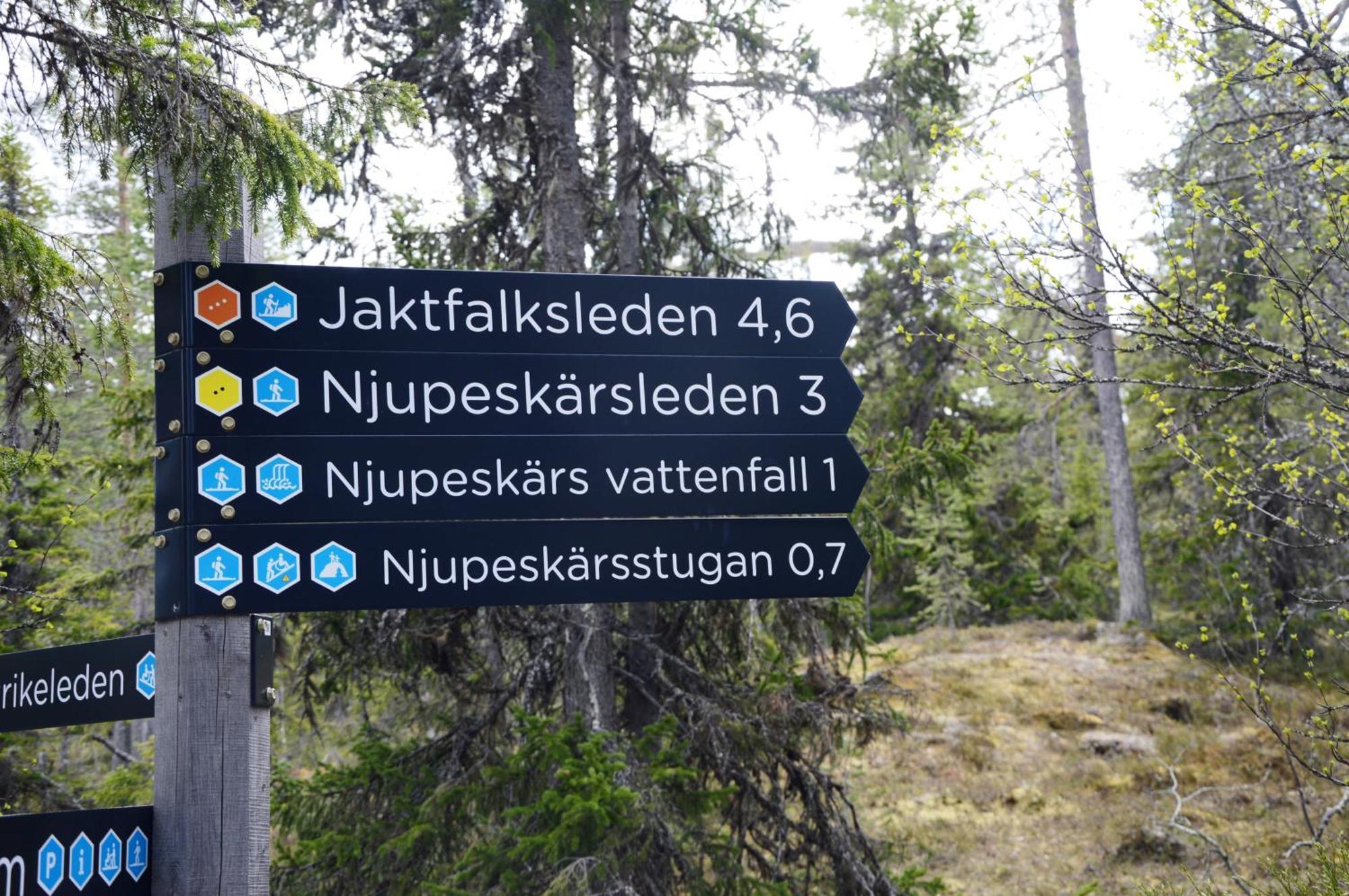 14 - Fulufjellets Nasjonalparker - Natur-, Dyre- Og Fugleopplevelser ทรีซิล ภายนอก รูปภาพ