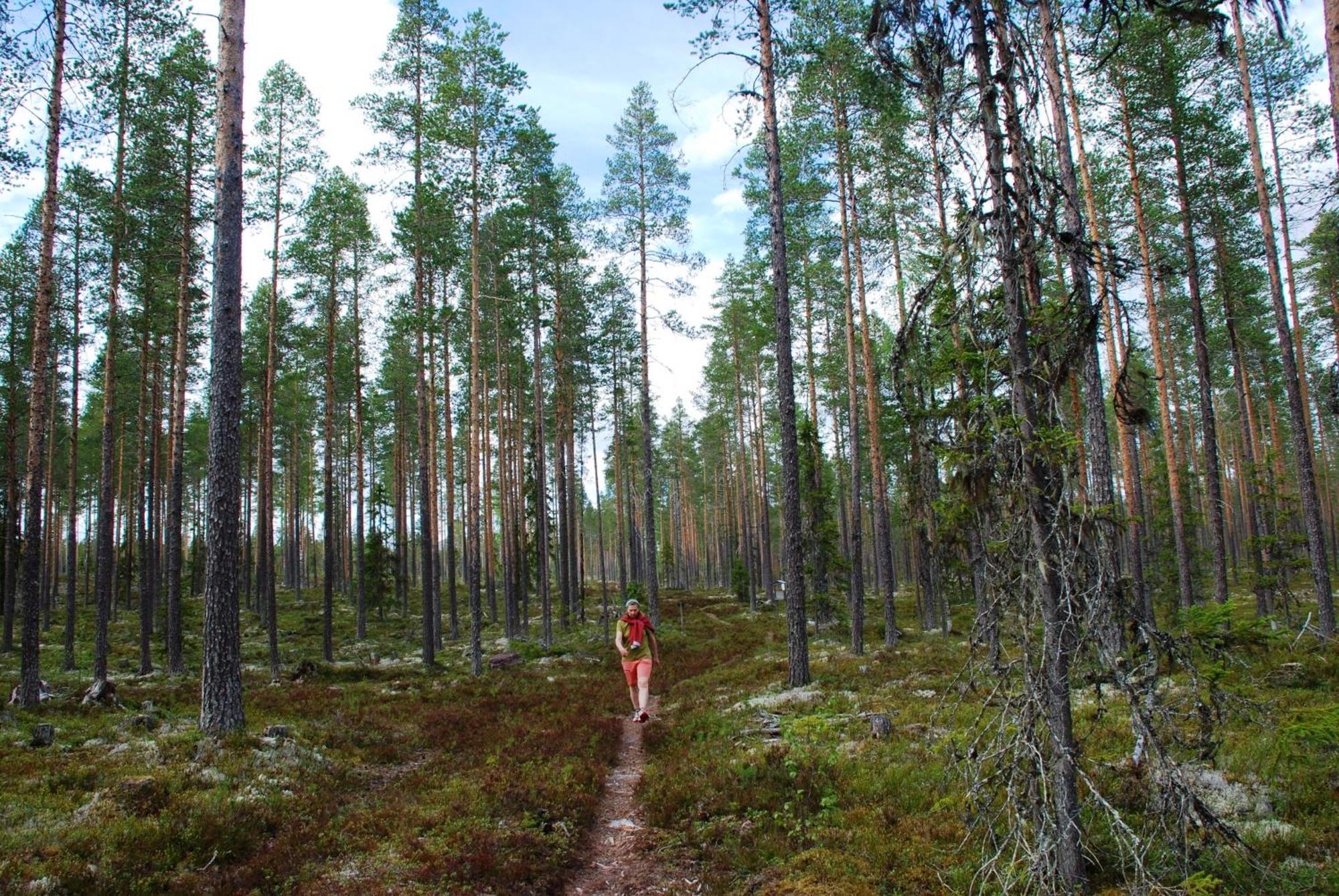 14 - Fulufjellets Nasjonalparker - Natur-, Dyre- Og Fugleopplevelser ทรีซิล ภายนอก รูปภาพ
