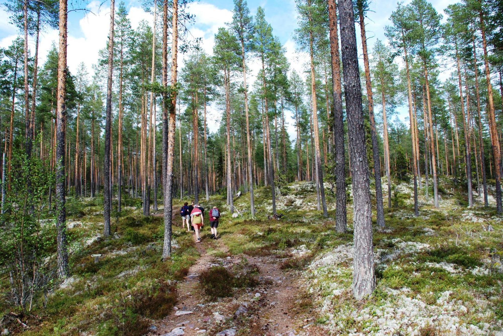 14 - Fulufjellets Nasjonalparker - Natur-, Dyre- Og Fugleopplevelser ทรีซิล ภายนอก รูปภาพ