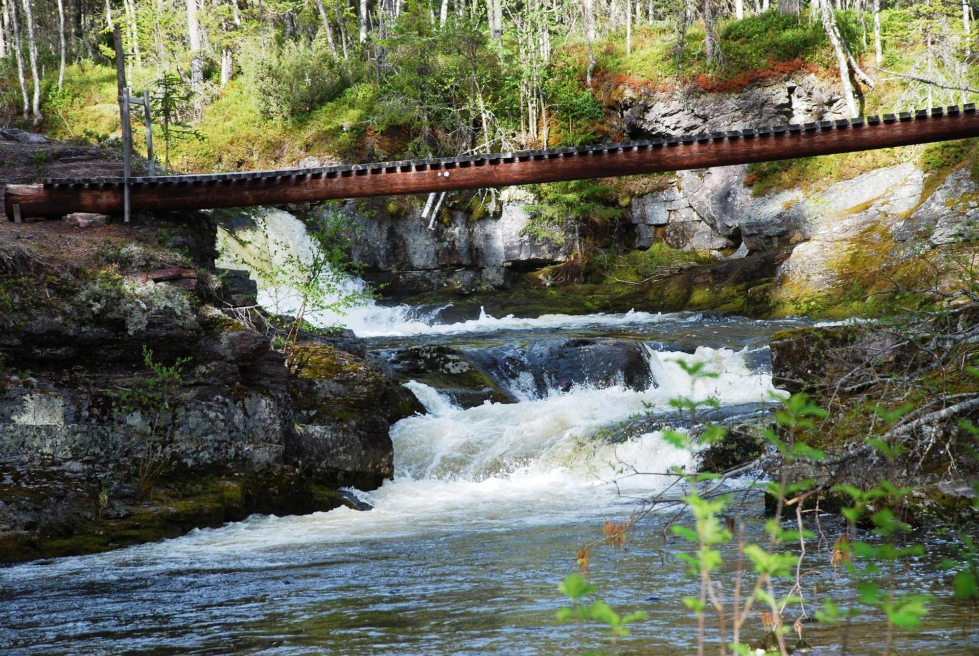 14 - Fulufjellets Nasjonalparker - Natur-, Dyre- Og Fugleopplevelser ทรีซิล ภายนอก รูปภาพ