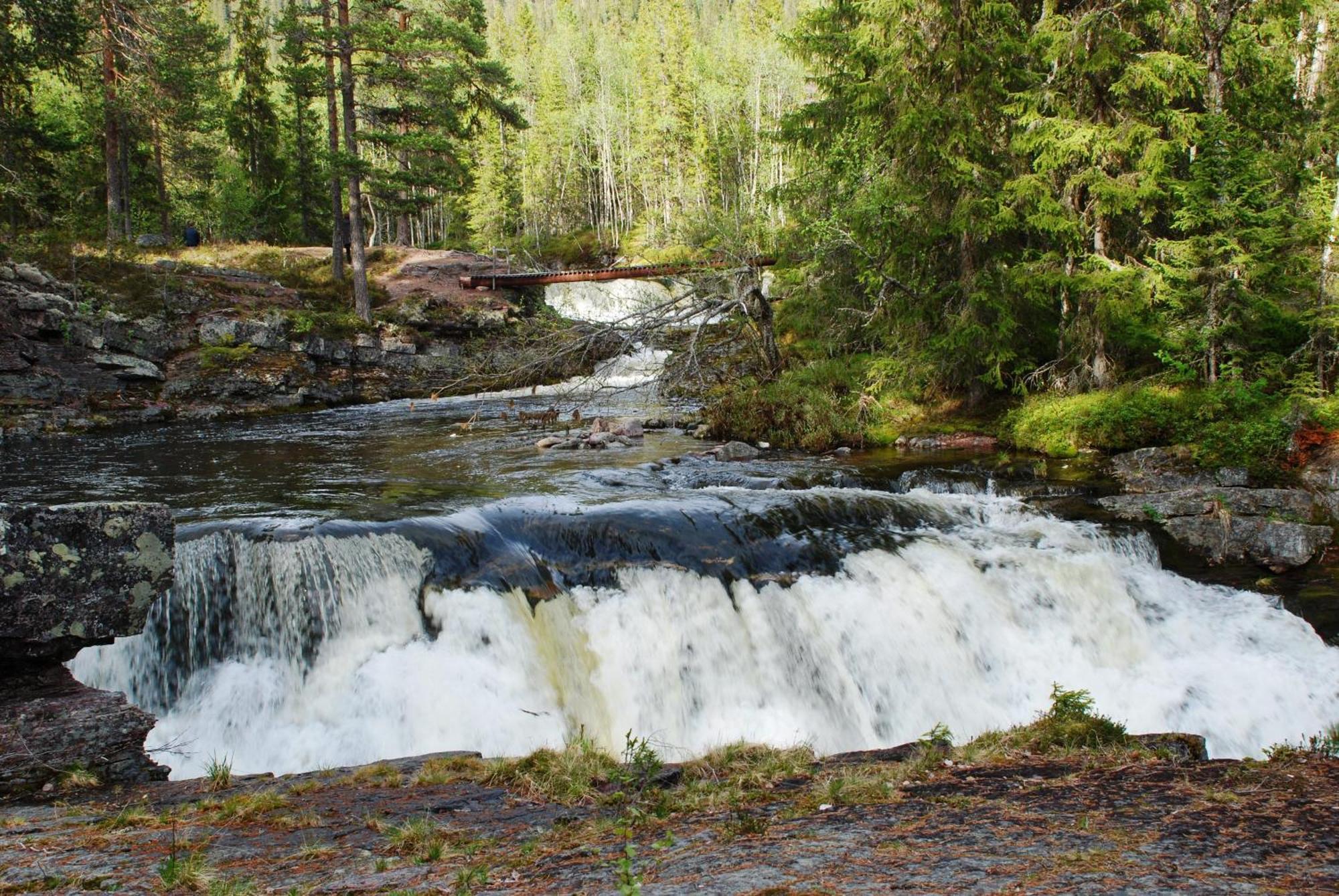 14 - Fulufjellets Nasjonalparker - Natur-, Dyre- Og Fugleopplevelser ทรีซิล ภายนอก รูปภาพ