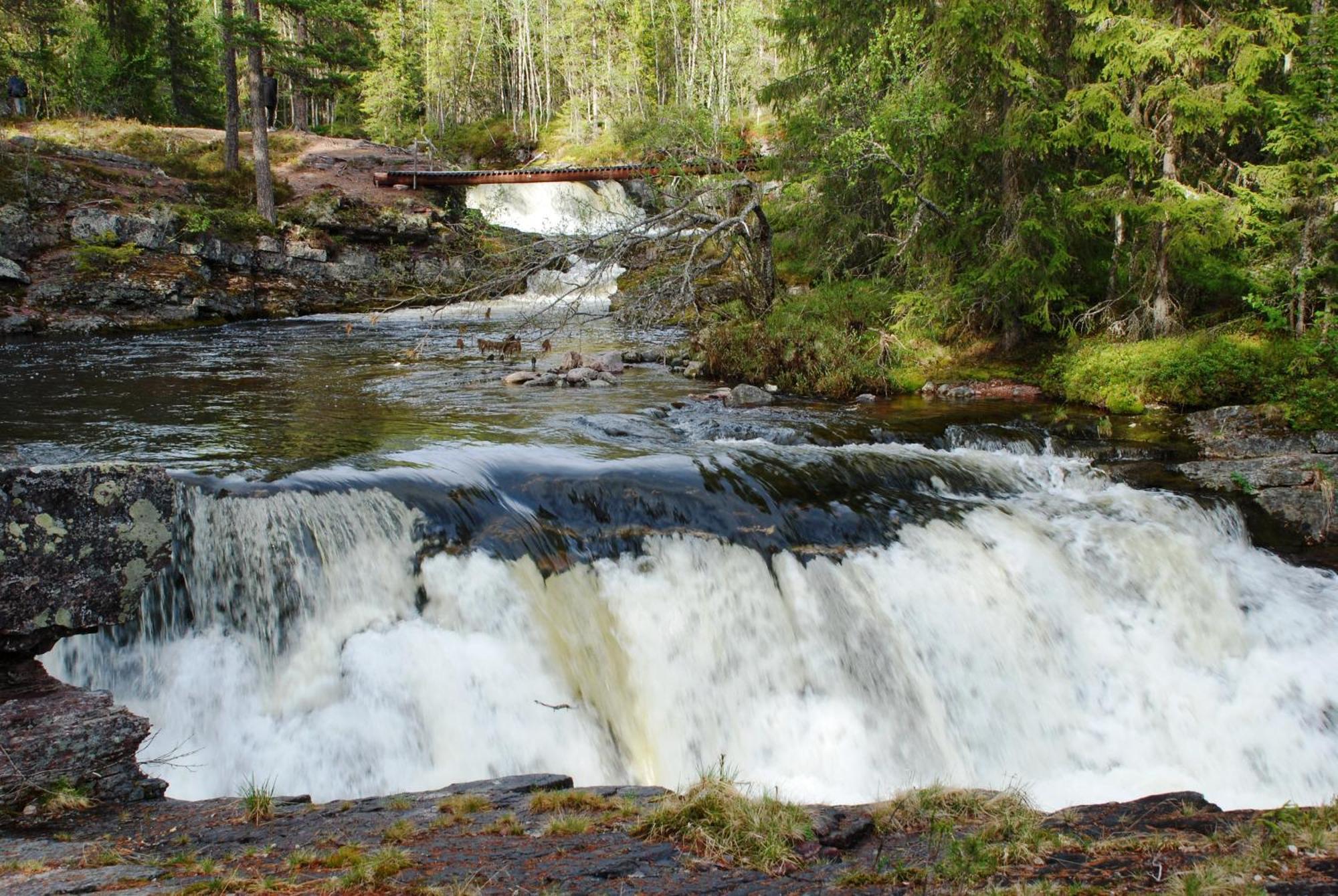 14 - Fulufjellets Nasjonalparker - Natur-, Dyre- Og Fugleopplevelser ทรีซิล ภายนอก รูปภาพ