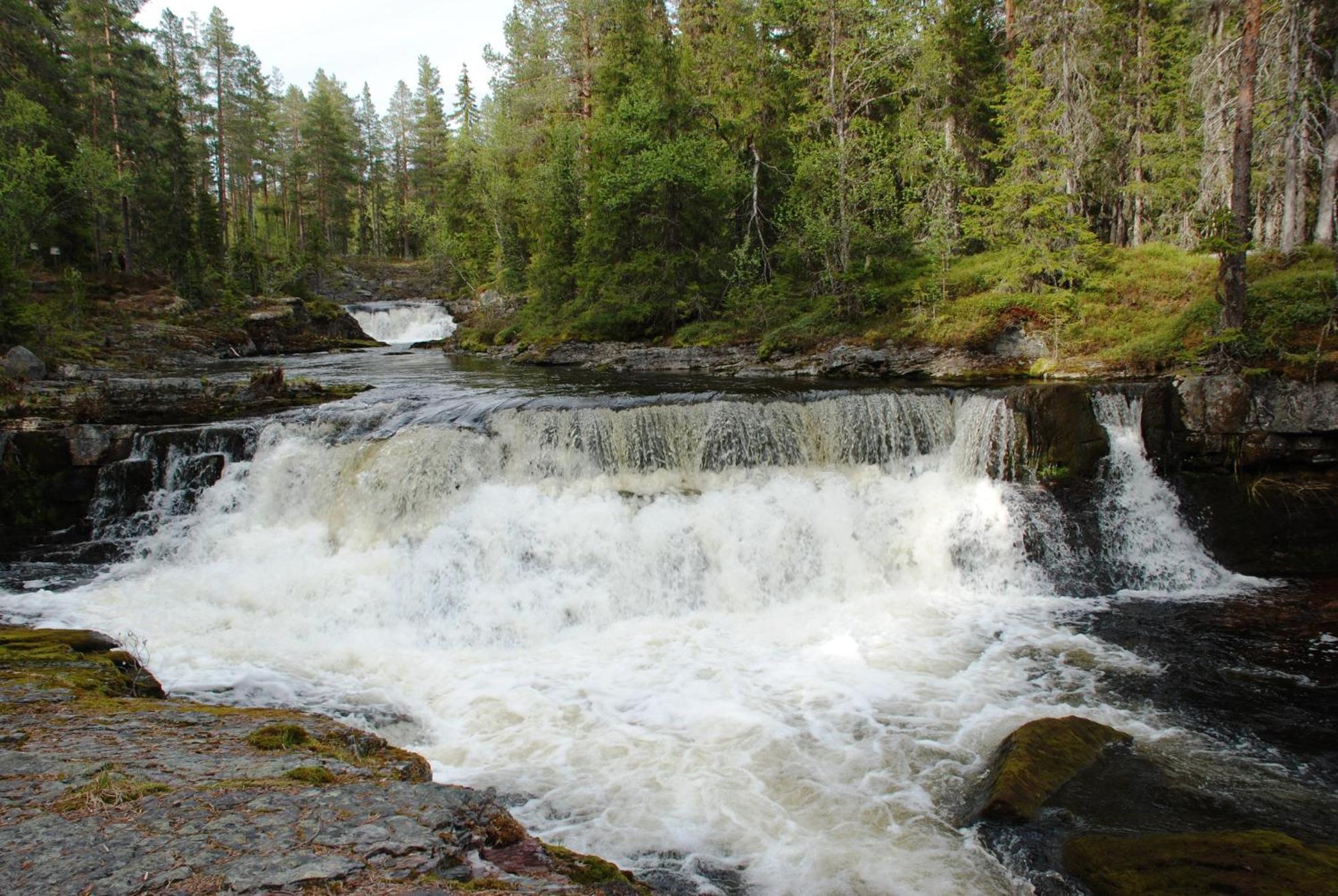 14 - Fulufjellets Nasjonalparker - Natur-, Dyre- Og Fugleopplevelser ทรีซิล ภายนอก รูปภาพ