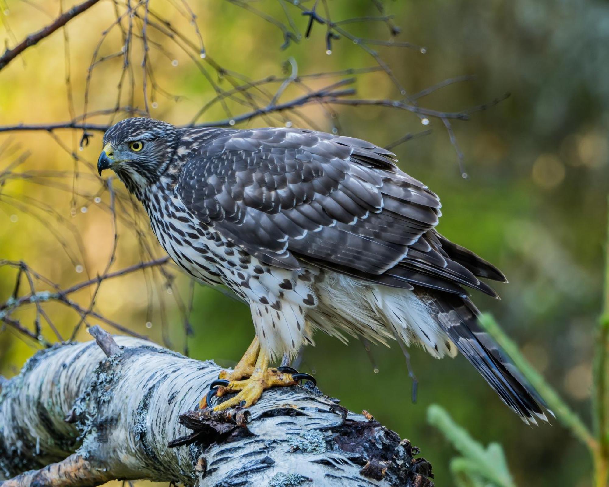 14 - Fulufjellets Nasjonalparker - Natur-, Dyre- Og Fugleopplevelser ทรีซิล ภายนอก รูปภาพ